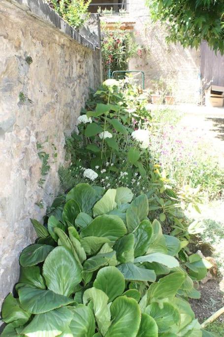 Gîte Fleurs de Gamay au coeur du Beaujolais Lancié Extérieur photo