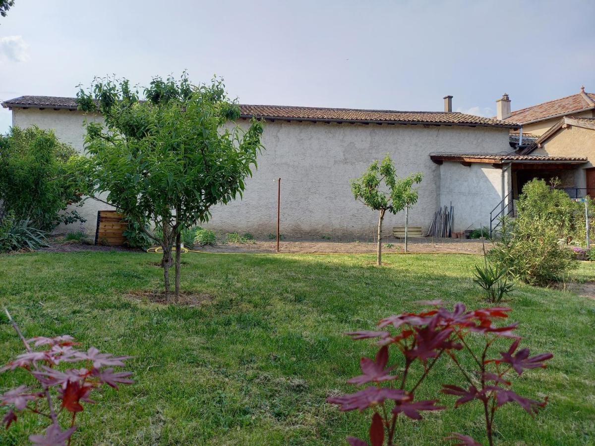 Gîte Fleurs de Gamay au coeur du Beaujolais Lancié Extérieur photo