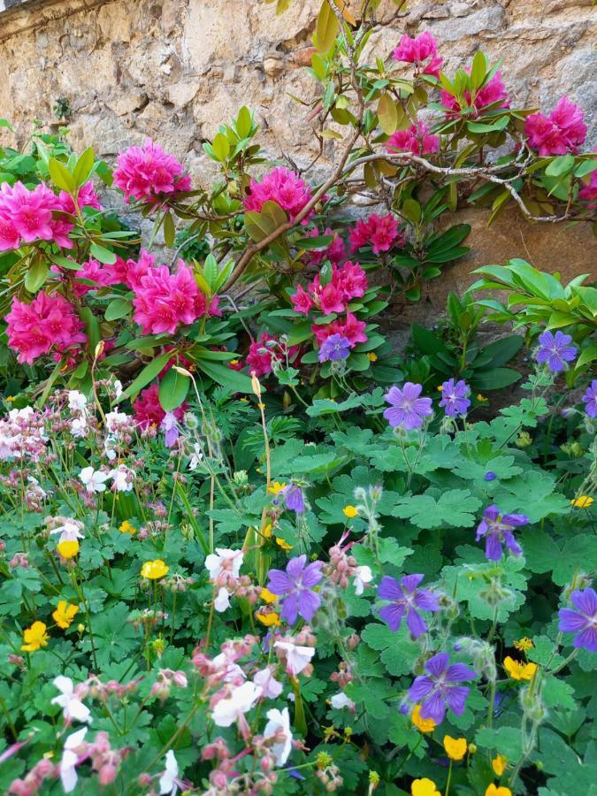 Gîte Fleurs de Gamay au coeur du Beaujolais Lancié Extérieur photo