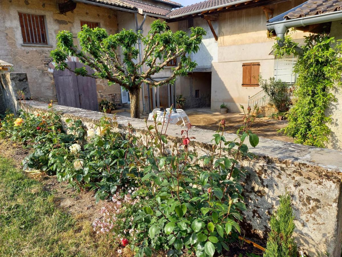 Gîte Fleurs de Gamay au coeur du Beaujolais Lancié Extérieur photo